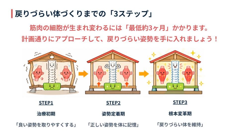 体づくりの3ステップイラスト
