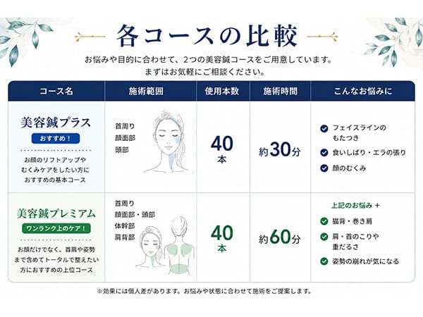 美容鍼 各子 各コースの比較